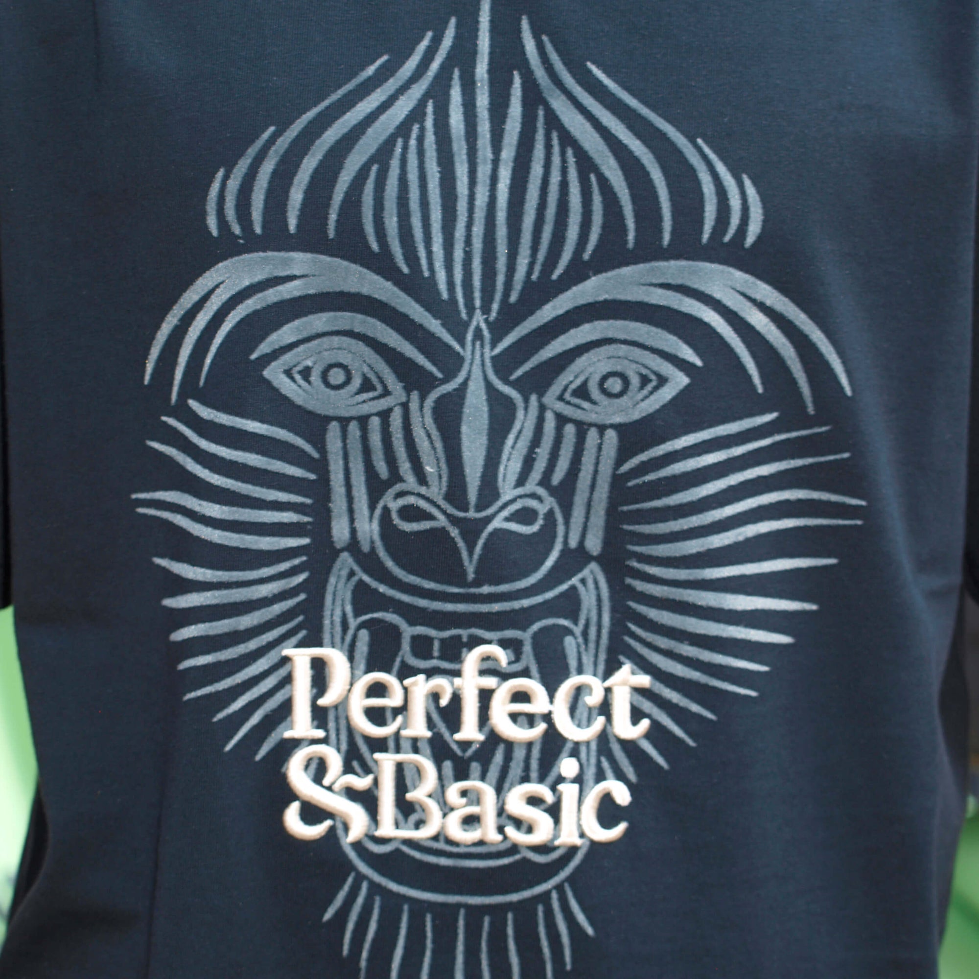 Camiseta Oversize Unisex – “Mandrillus sphinx”